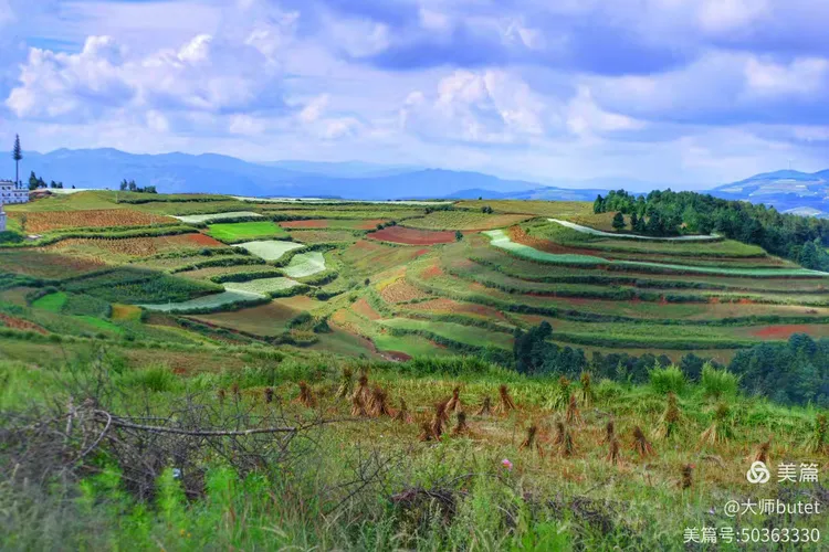 故乡的泥土芬芳